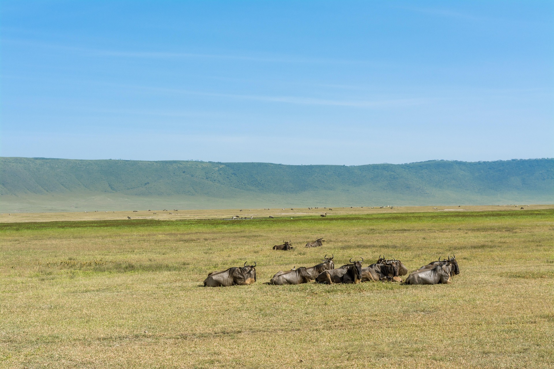Ngorongoro Crater
