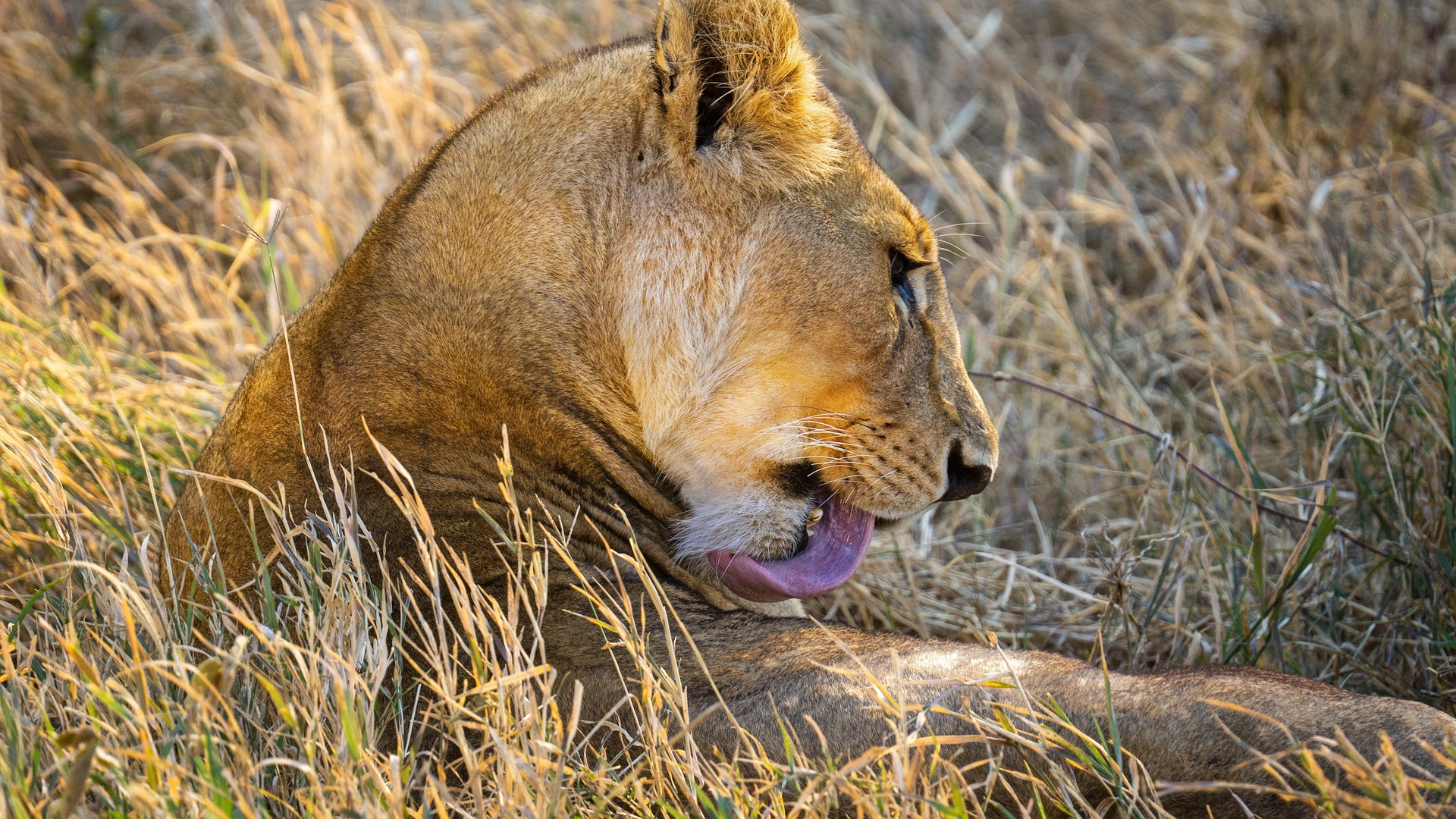 Serengeti National Park