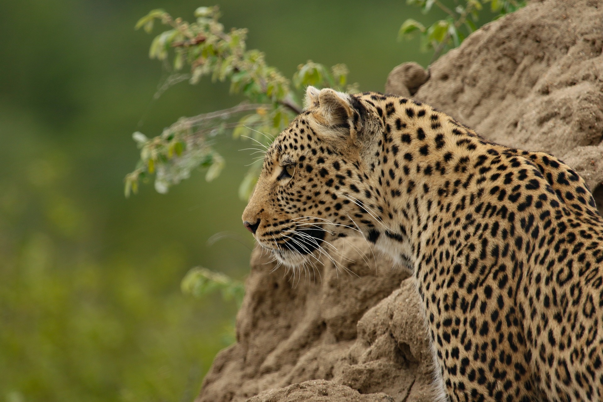 Serengeti National Park