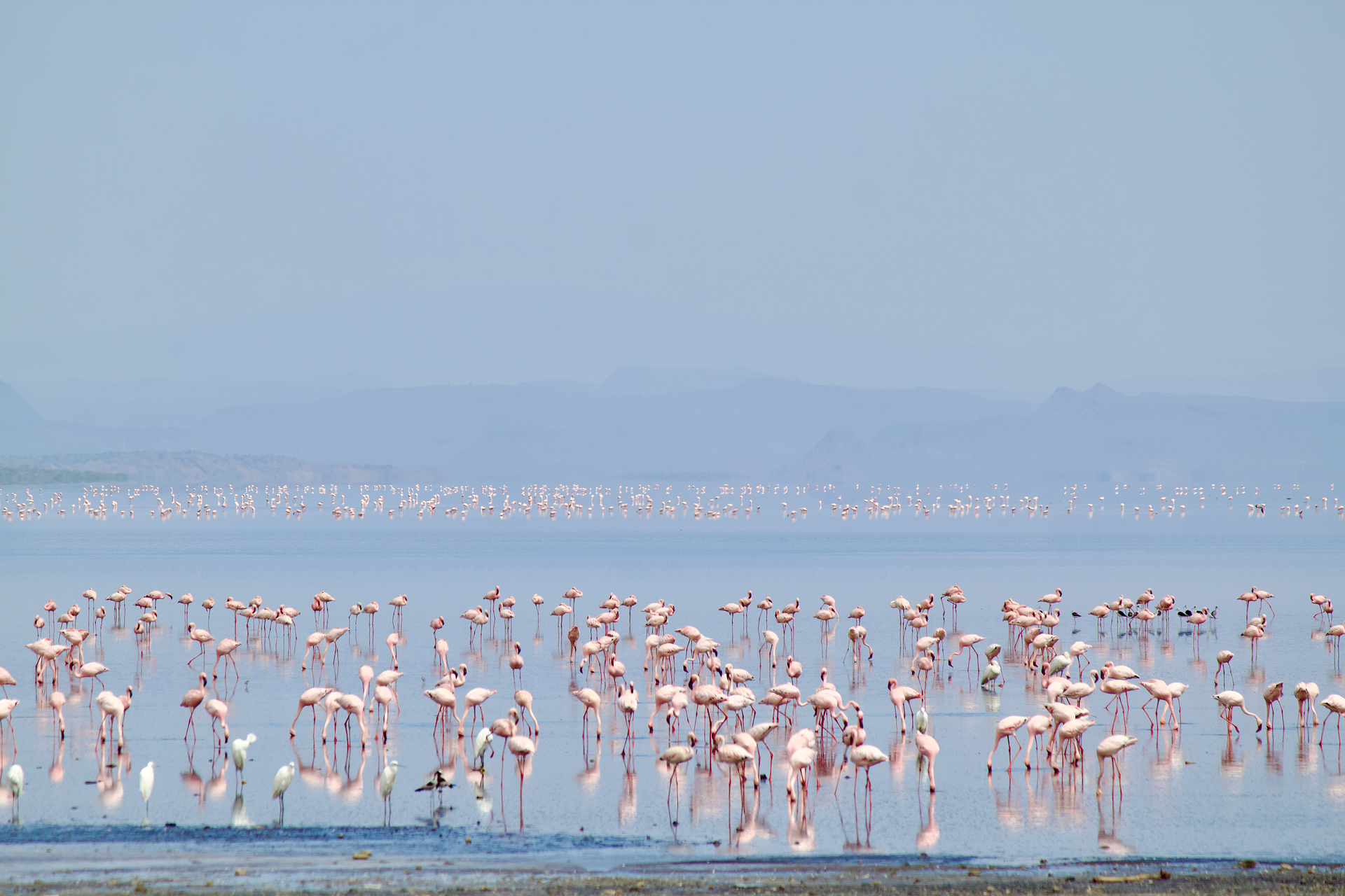 Lake Natron