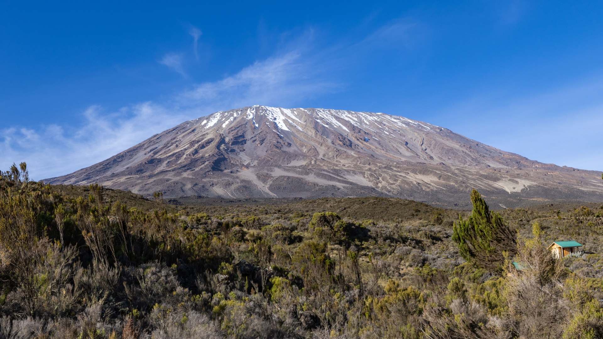 8 Days Lemosho route