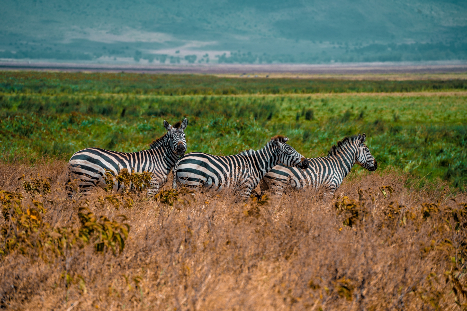 Arusha National Park