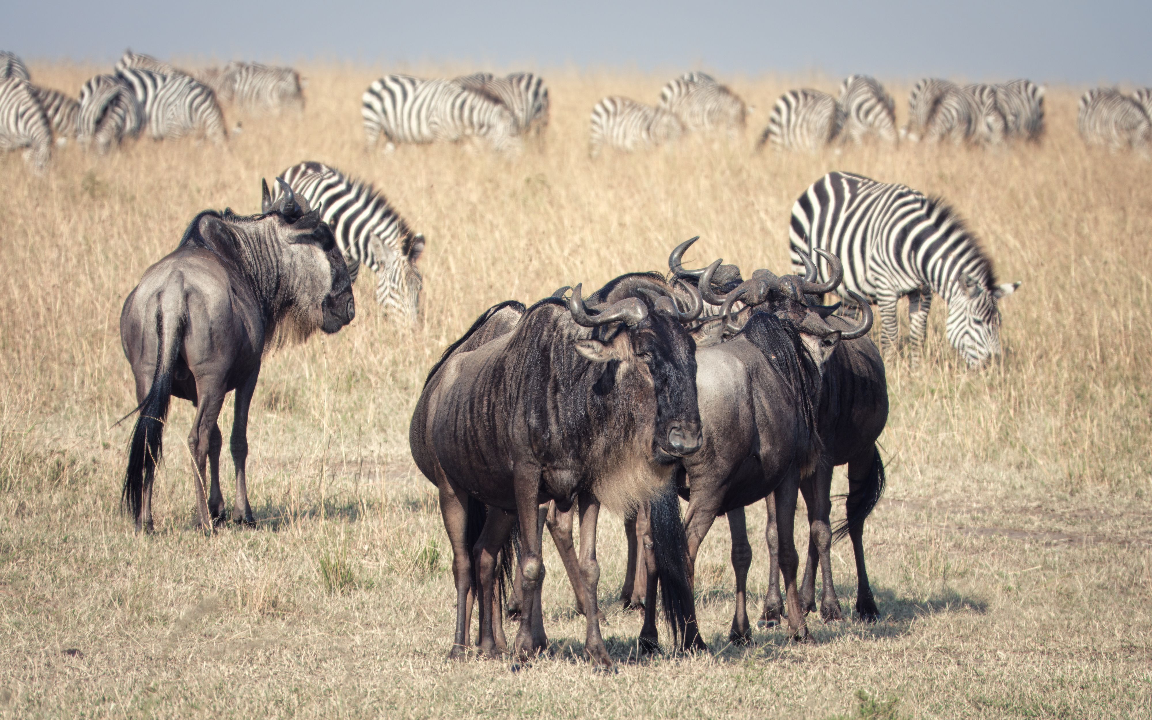 Serengeti National Park