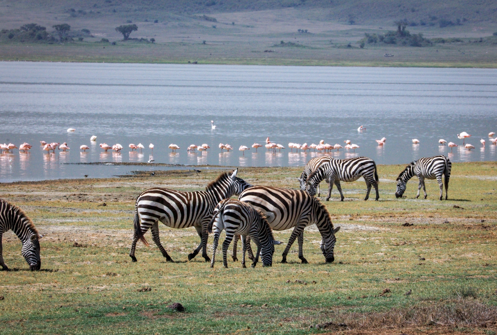 Arusha National Park
