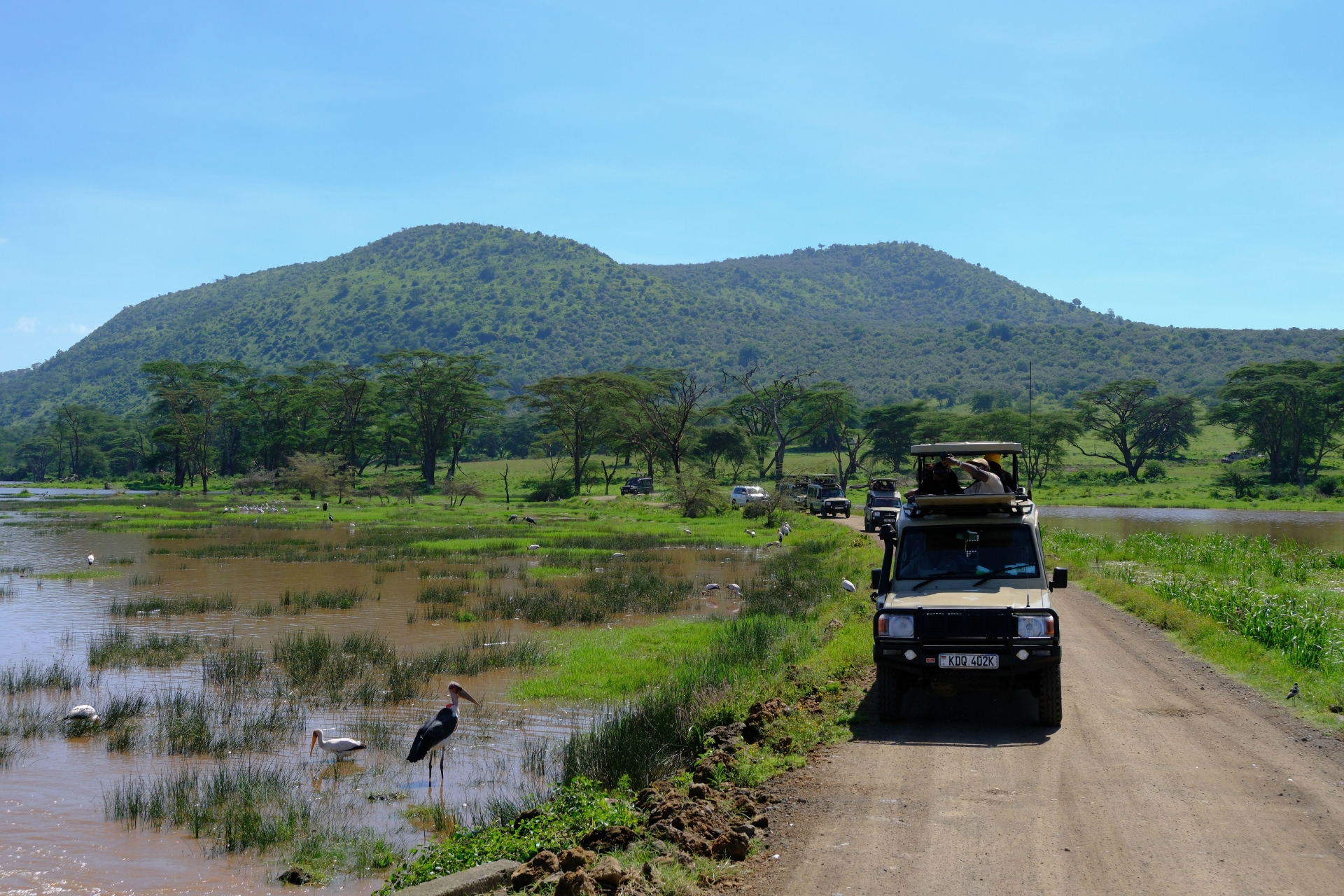 Lake Manyara National Park