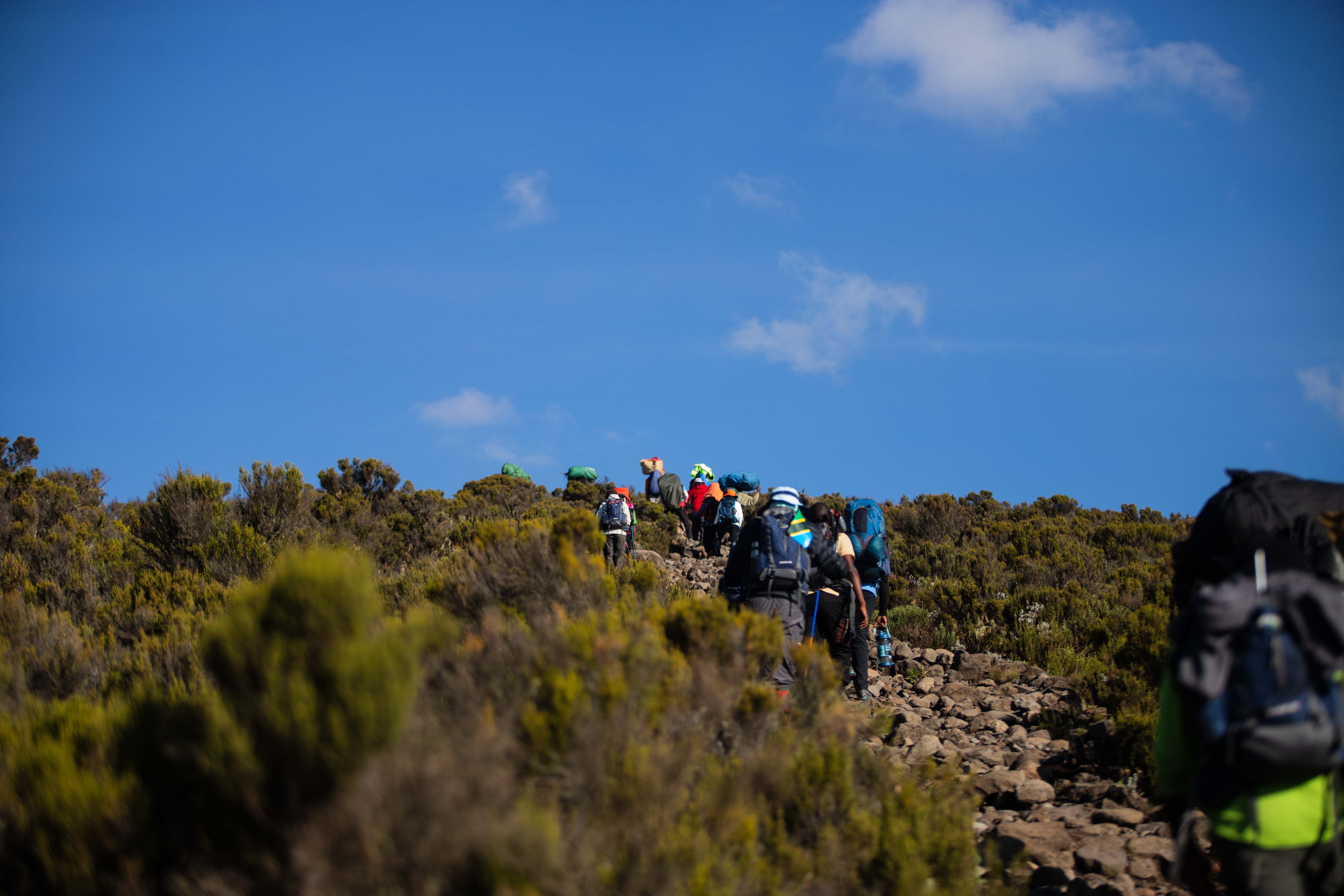 6 Days Machame route
