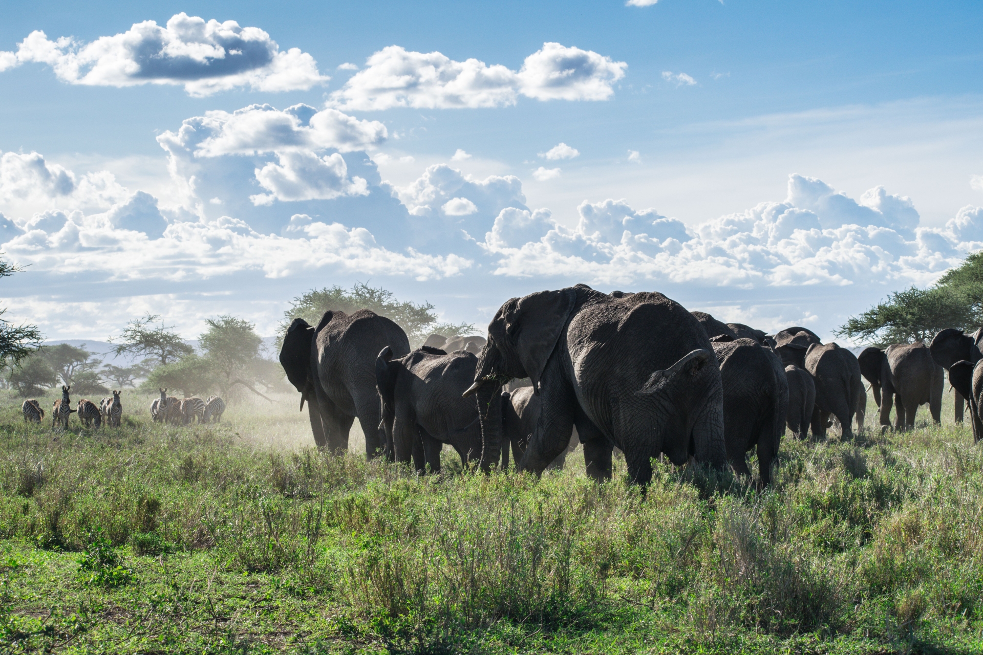 5 Days Safari