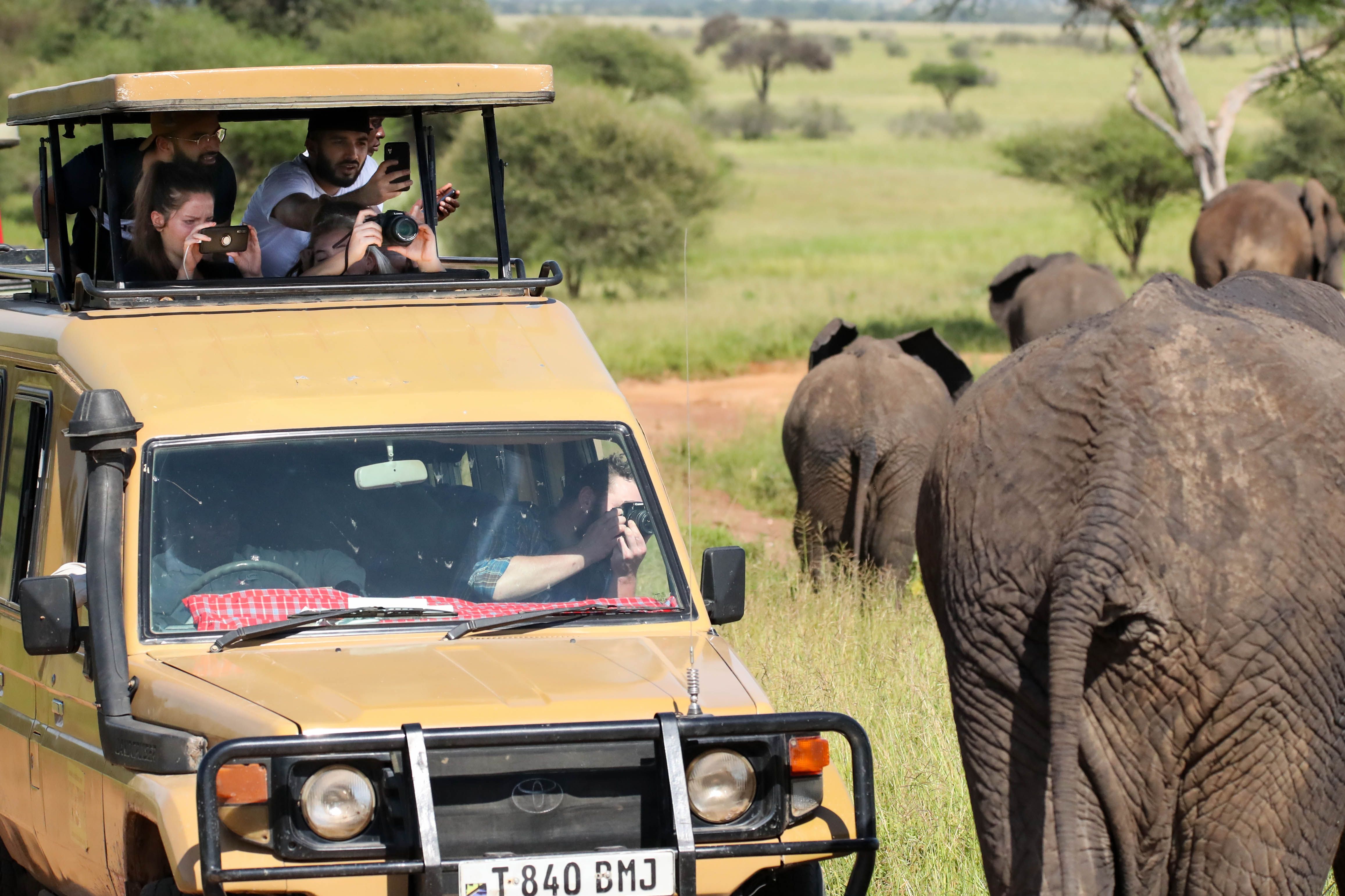 4 Days Safari