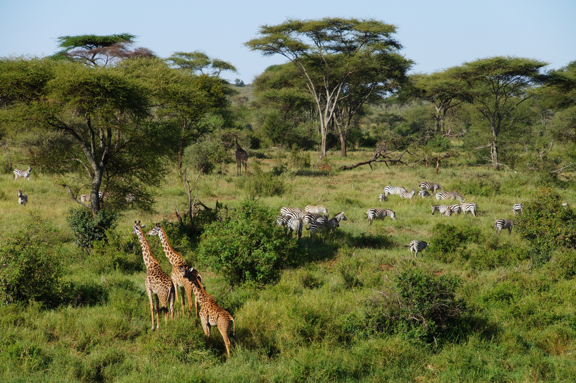 3 Days Safari