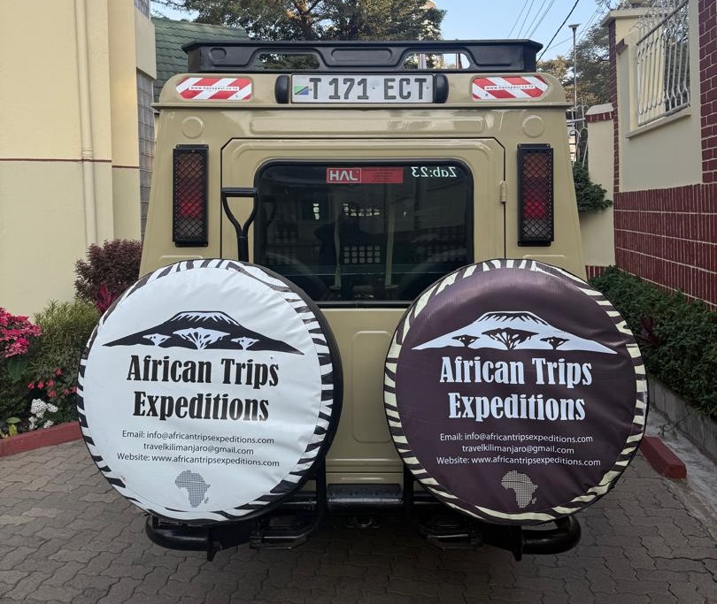 Safari Experience